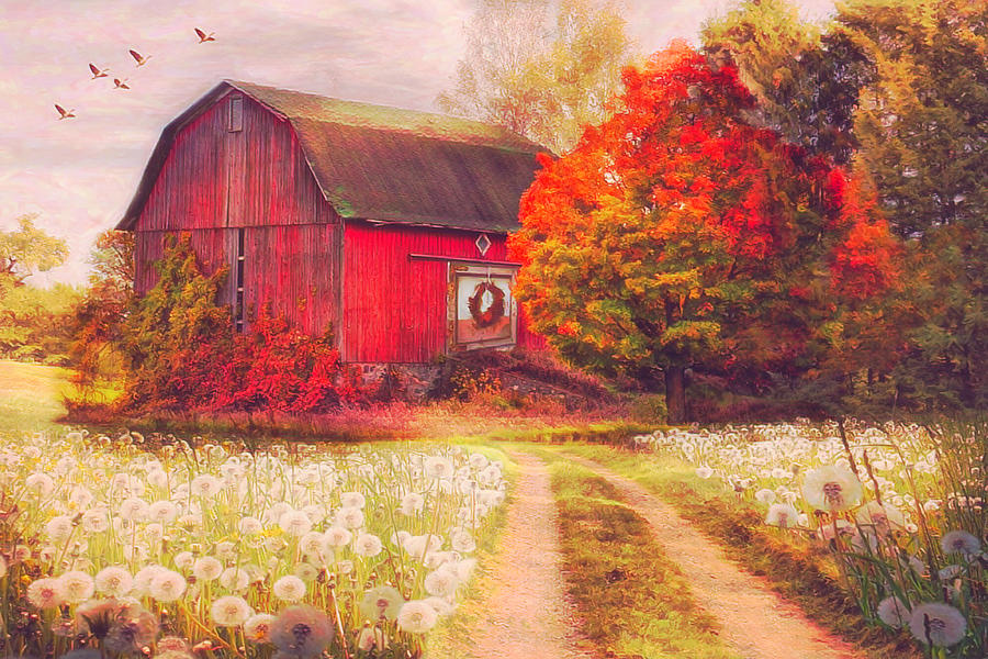 Red Barn in Early Autumn  #2 Photograph by Debra and Dave Vanderlaan