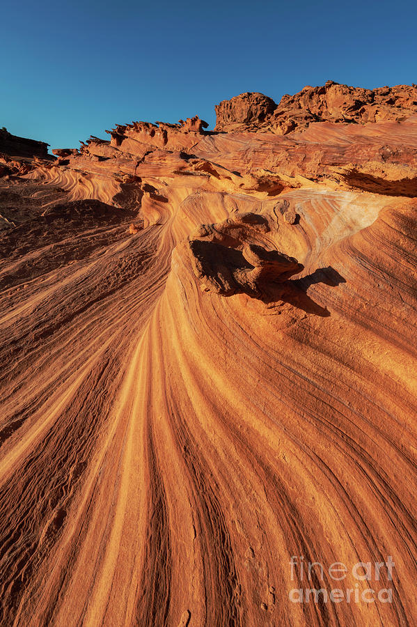 Red Desert Lines Photograph