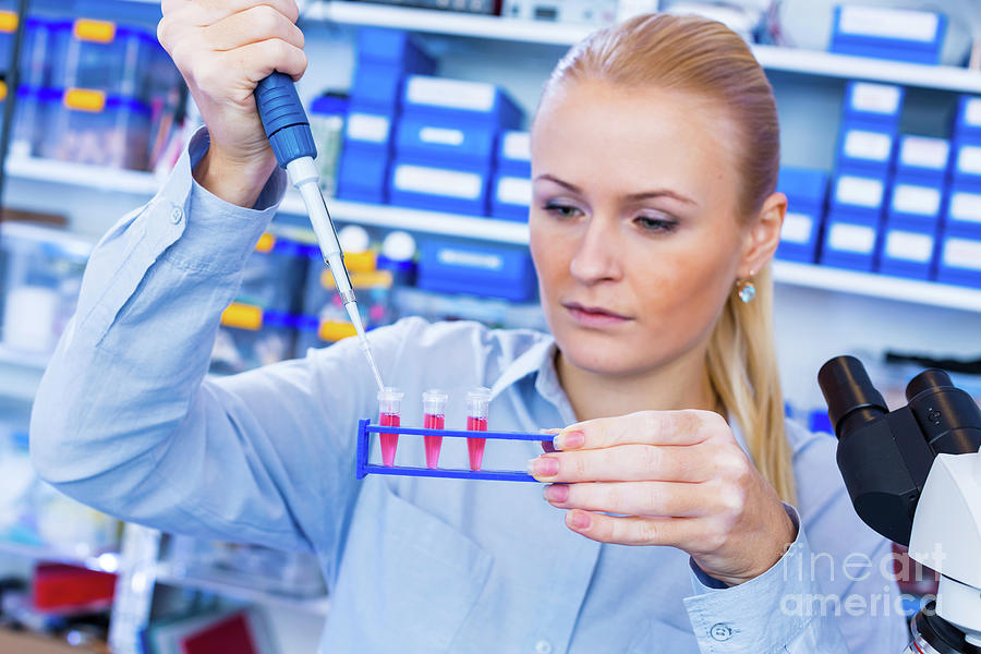 Researcher Pipetting Sample Photograph By Wladimir Bulgar Science Photo Library Pixels