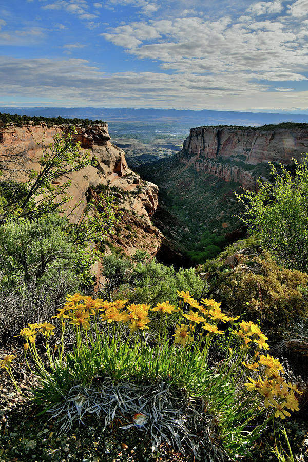 Rim Rock Drive in Colorado National Monument #2 Photograph by Ray Mathis