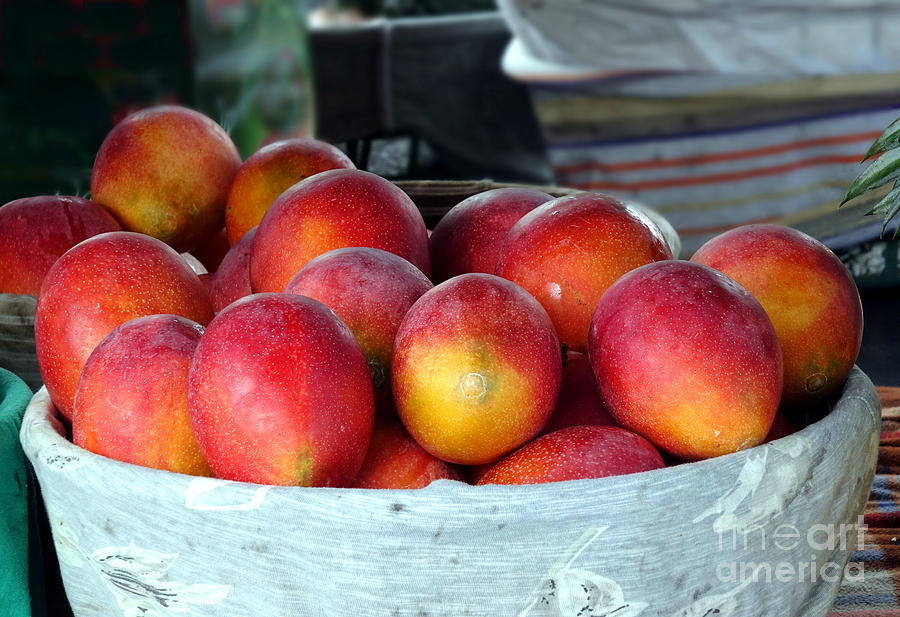 Ripe Red Mangoes for Sale by Yali Shi Ripe Red Mangoes for Sale by Yali Shi