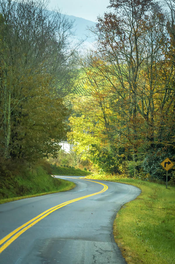 Roads Surrounded By Autumn Leaves Season In Damascus Virginia #2 Photograph by Alex Grichenko