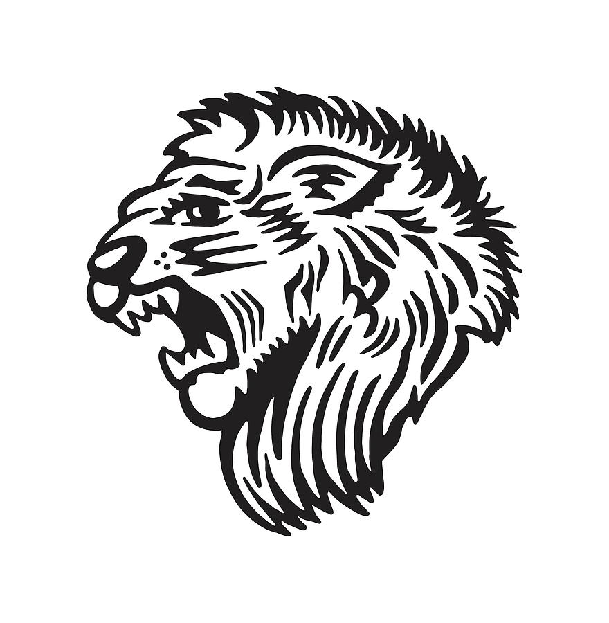 roaring lion head sketch