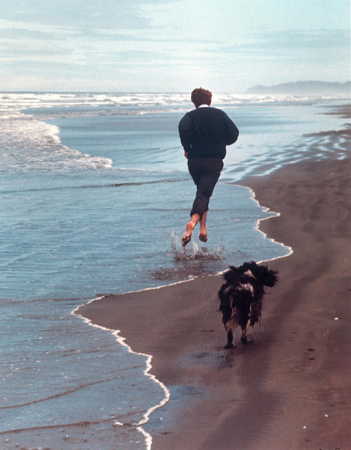 Animal Photograph - Robert F Kennedy #2 by Bill Eppridge