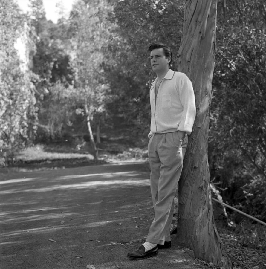 Robert Wagner Portrait Session #2 Photograph by Michael Ochs Archives
