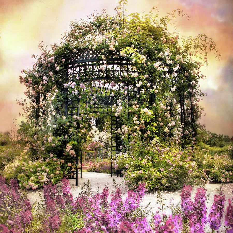 Rose Garden Pergola #3 Photograph by Jessica Jenney