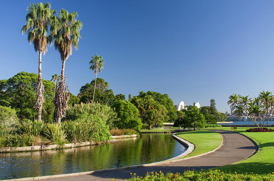 Royal Botanic Gardens Sydney Photograph By David L Moore