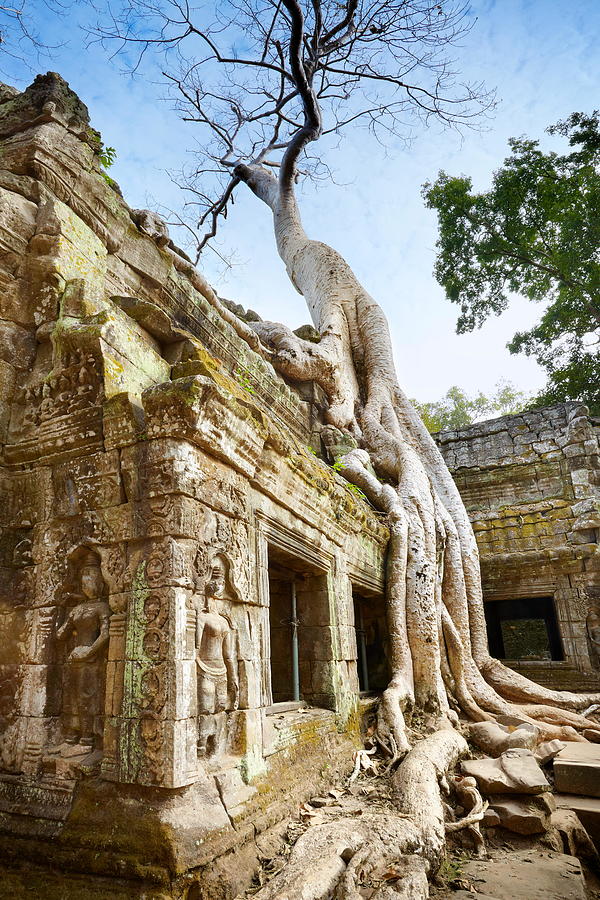 Scenic Photograph - Ruins Of Ta Prohm Temple, Angkor #2 by Jan Wlodarczyk