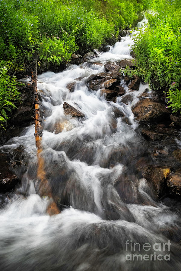 Rushing Colorado Mountain Stream #2 Photograph by Ronda Kimbrow