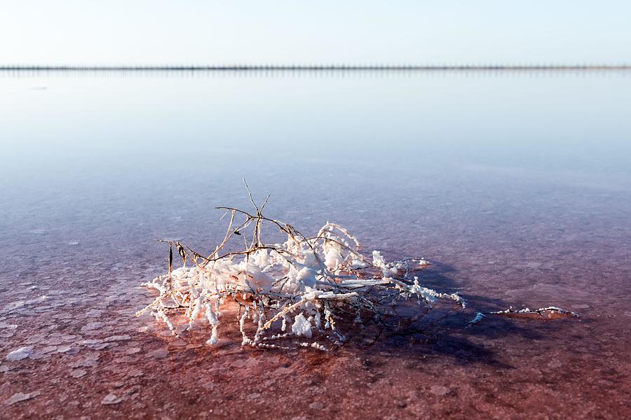 Summer Photograph - Salt Crystals In Pink Water Salt Lake #2 by Ivan Kmit
