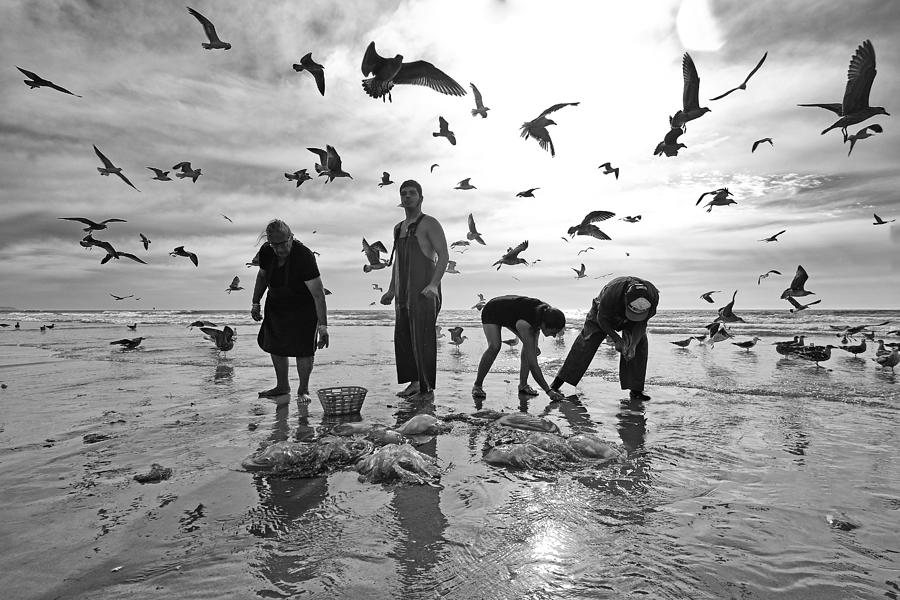 Black And White Photograph - Salt Lives #2 by Josefina Melo