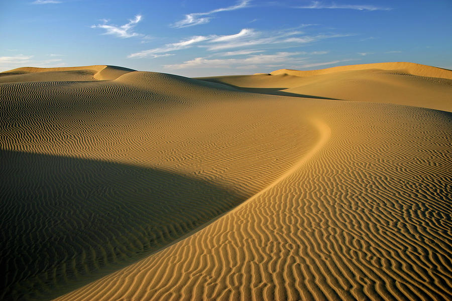 Sand Dunes Photograph by Bremecr - Fine Art America