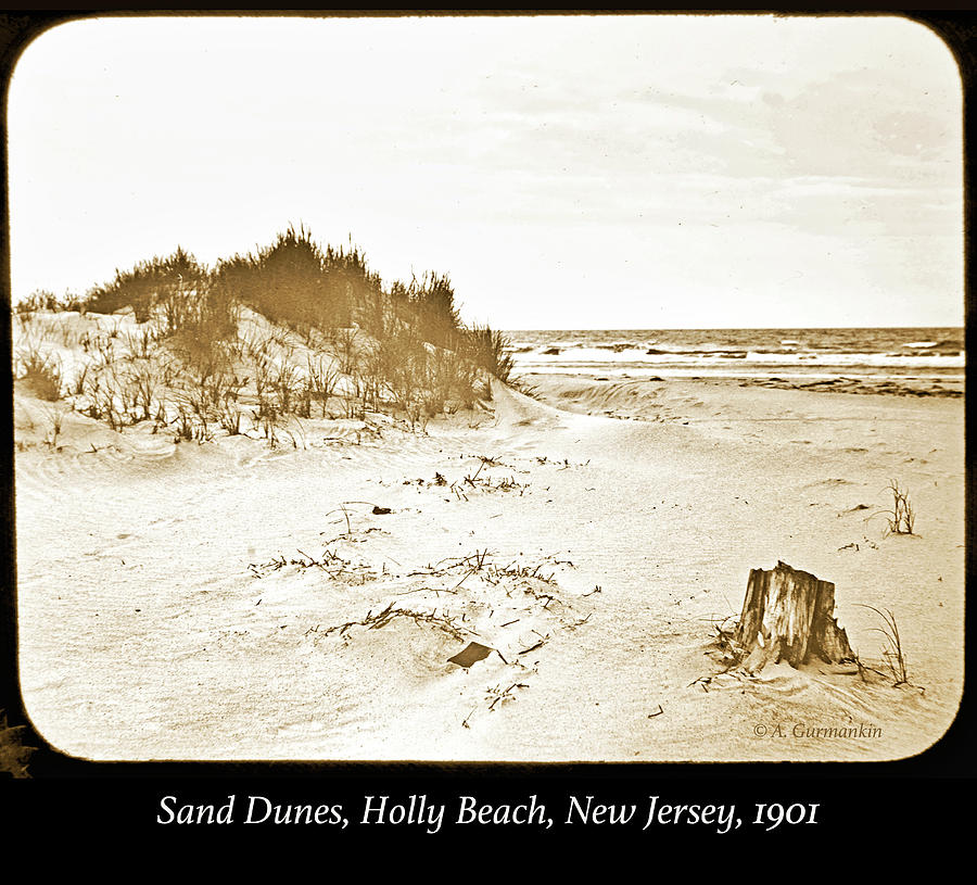 Sand Dunes, Holly Beach, New Jersey, 1901 #2 Photograph by A Macarthur Gurmankin