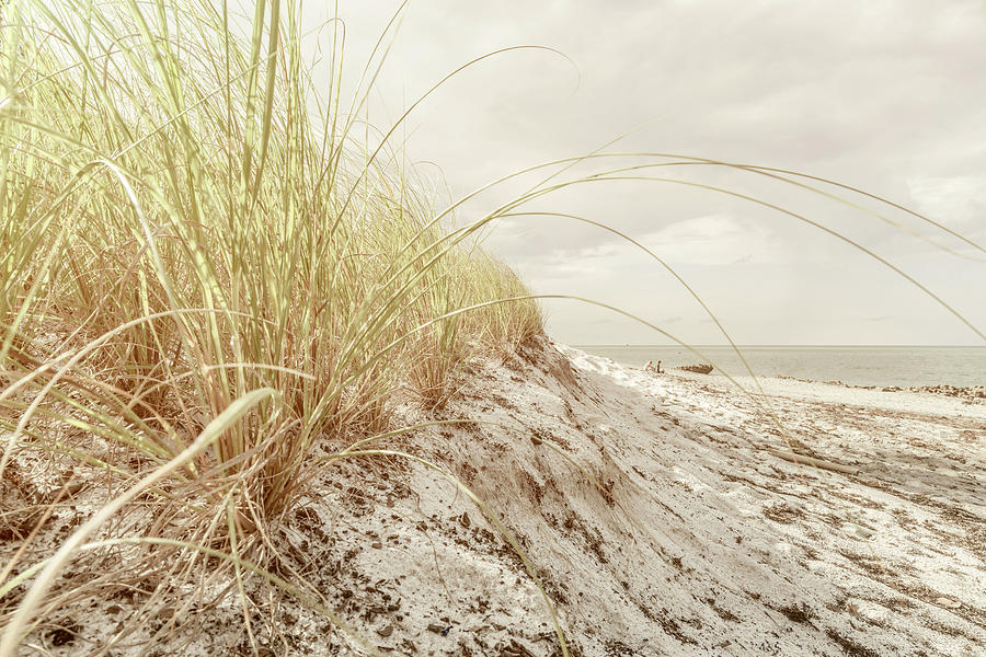 Sand Dunes On The Beach #2 Digital Art by Laura Diez