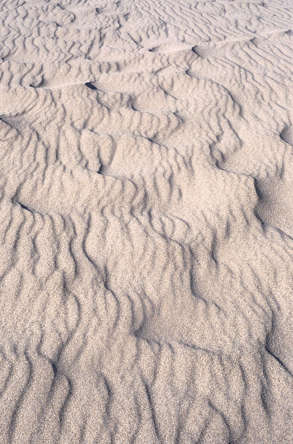 Sand Ripples #2 Photograph by John Foxx