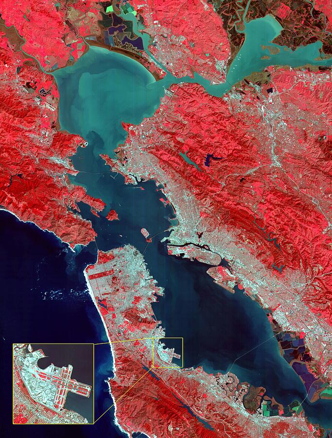 Satellite image of San Francisco Bay Area - infra red #2 Painting by Celestial Images