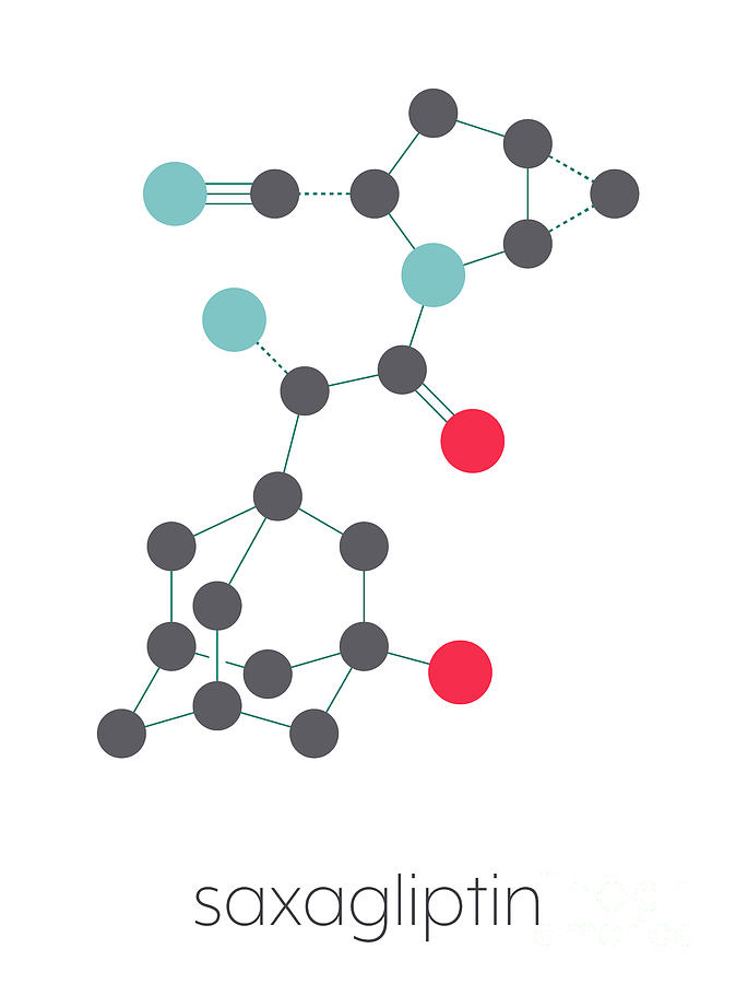 Saxagliptin Diabetes Drug Photograph by Molekuul/science Photo Library ...