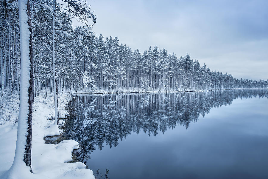 Scenic Landscape With Lake Reflection Photograph by Jani Riekkinen ...