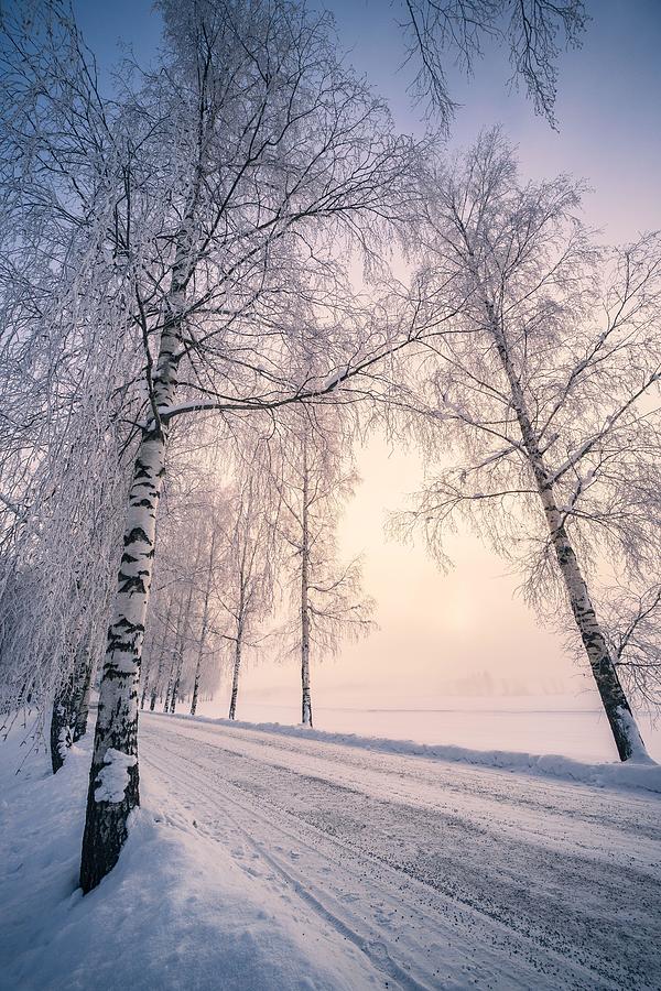 Winter Photograph - Scenic Snow Landscape With Beautiful #2 by Jani Riekkinen