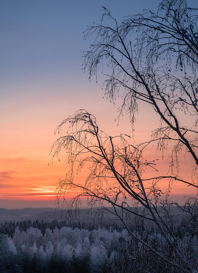 Winter Photograph - Scenic View With Beautiful Sunset #2 by Jani Riekkinen