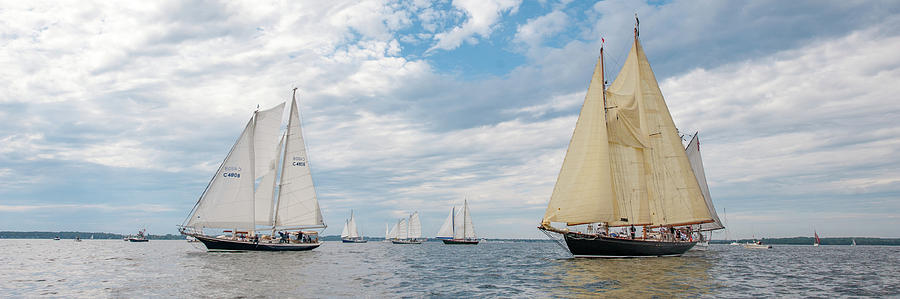 Schooners Racing #2 Photograph by Mark Duehmig