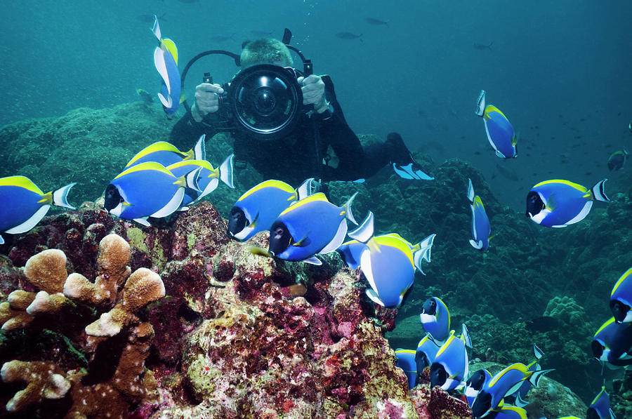 Scuba Diver With Camera #2 Photograph by Georgette Douwma