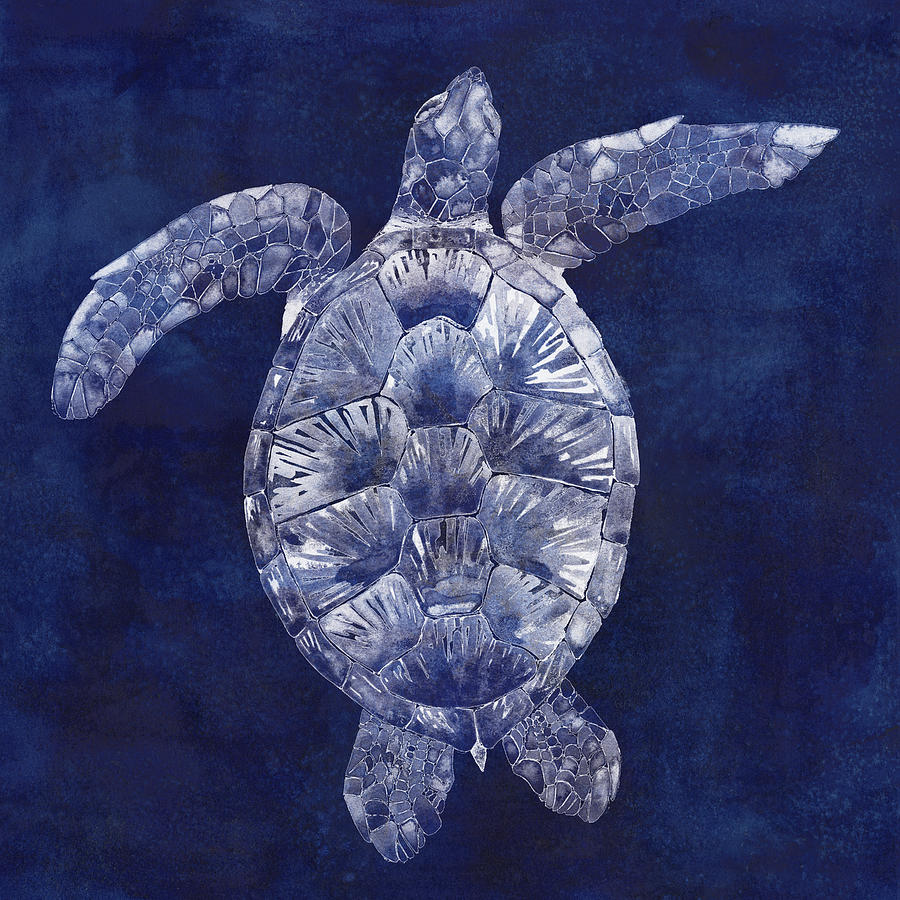 Sea Turtle Shadow II #2 Painting by Grace Popp