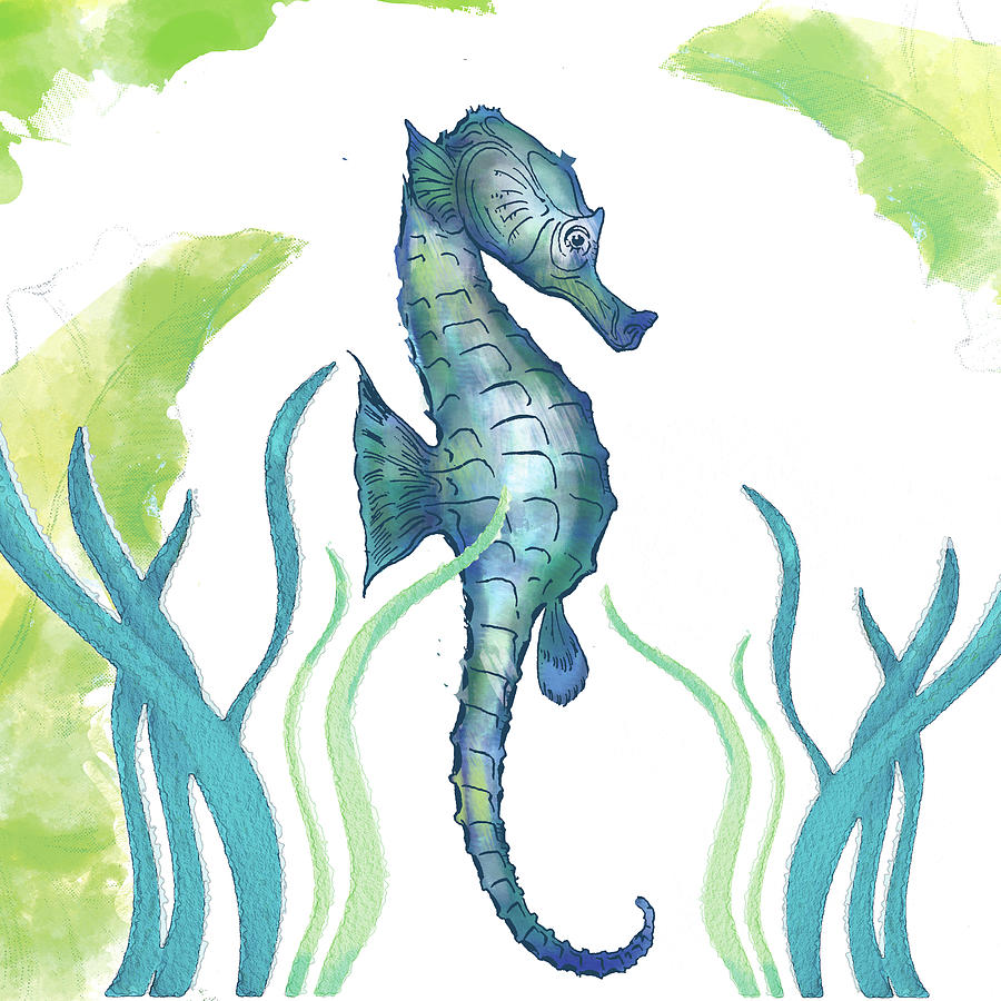 Seahorse #2 Drawing by Unknown