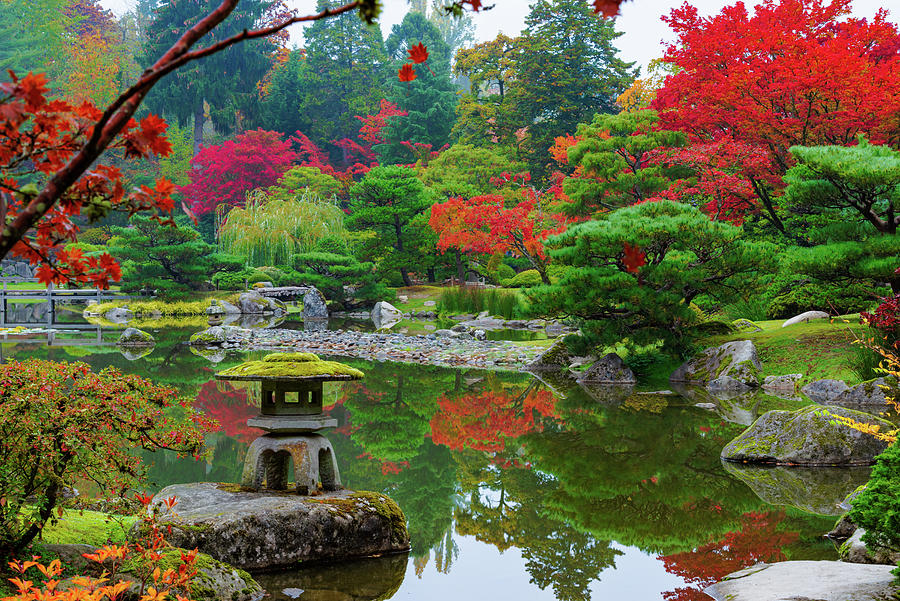 Seattle Japanese Garden #1 Digital Art by Michael Lee