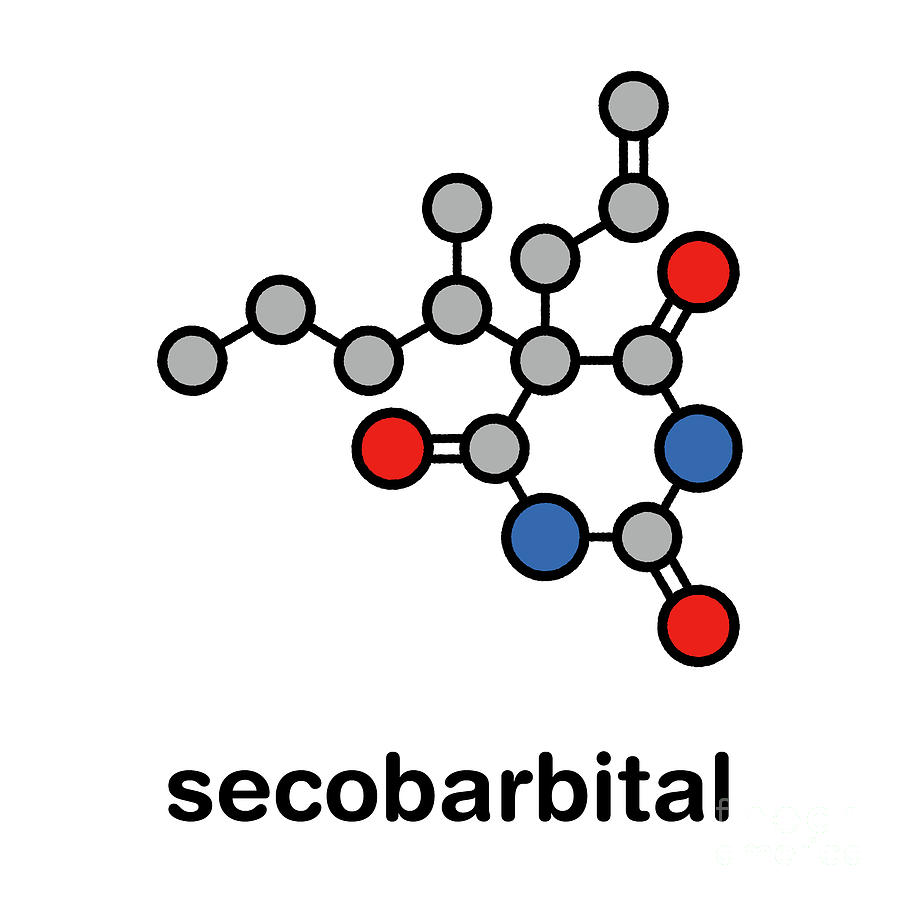 Secobarbital Barbiturate Sedative Molecule #2 Photograph by Molekuul/science Photo Library