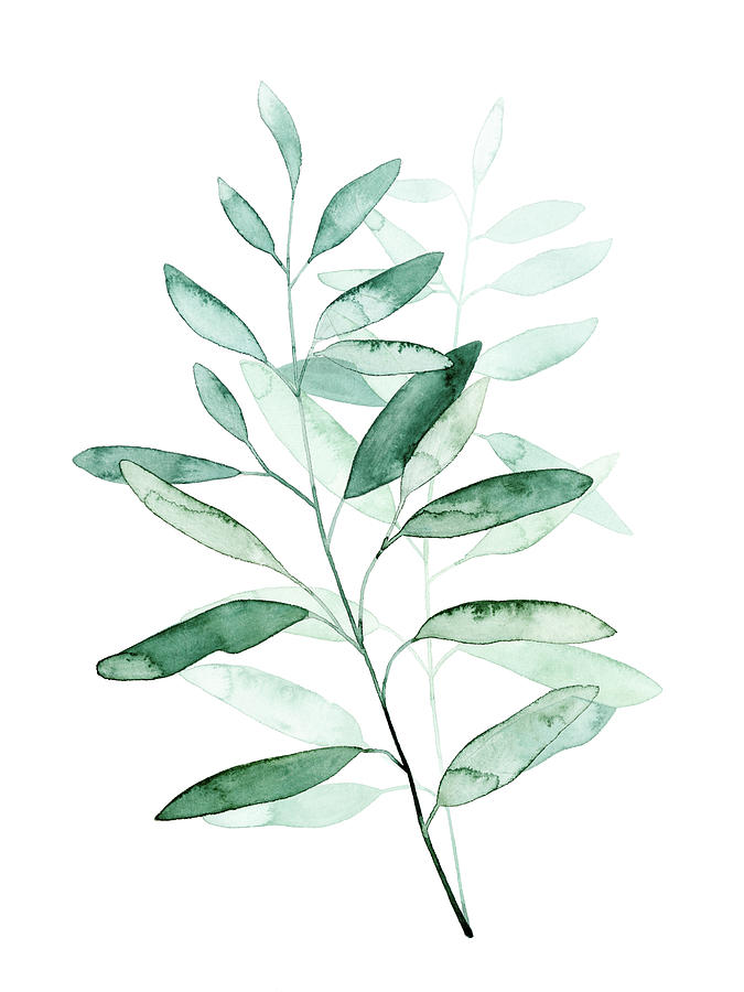 Botanical Painting - Serene Reed I #2 by Grace Popp