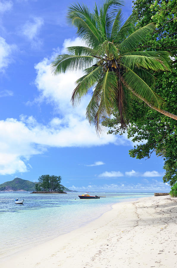 Seychelles Seascape #2 Photograph by Alxpin