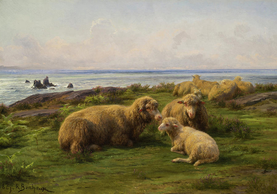 Sheep By The Sea #2 Painting by Mountain Dreams
