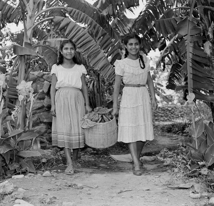 Silk Farming In Jalisco, Mexico #2 Photograph by Michael Ochs Archives