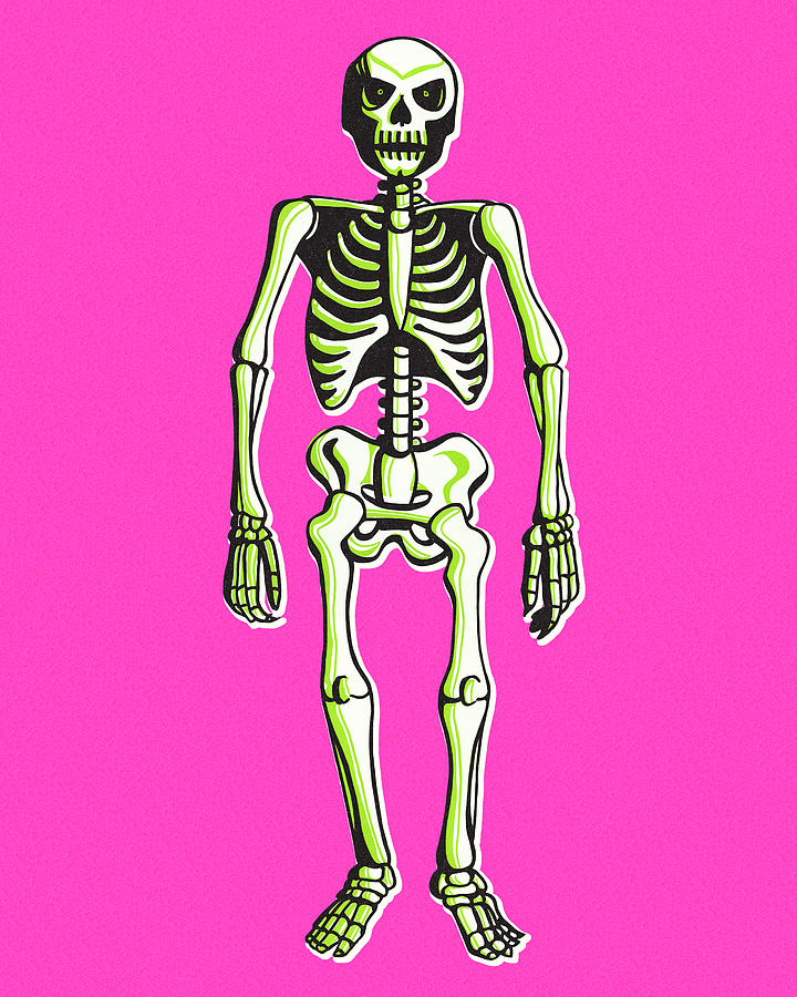 Halloween Drawing - Skeleton #2 by CSA Images