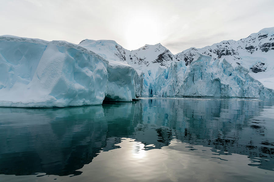 Skontorp Cove, Paradise Bay, Antarctica Digital Art by Delta Images ...