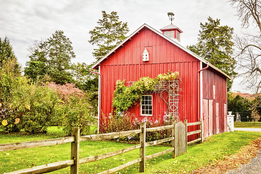 Small Red Barn Middleburg Virginia Photograph By Mark Summerfield