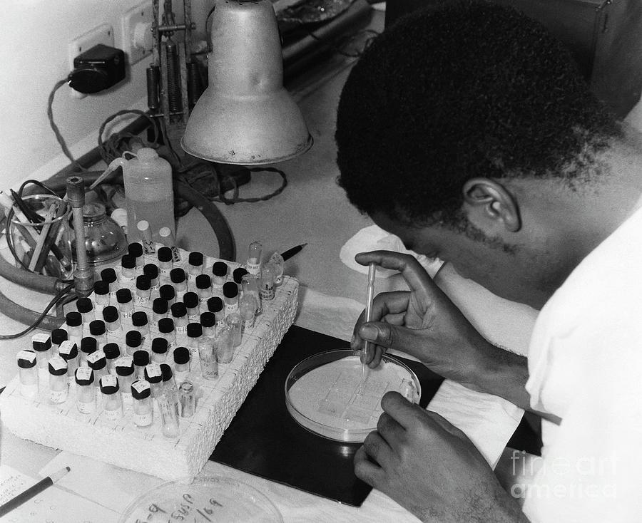 Smallpox Research #2 Photograph by Cdc/science Photo Library