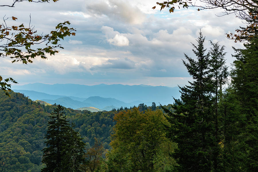 Smokey Mountains Photograph by Teresa Havens - Fine Art America