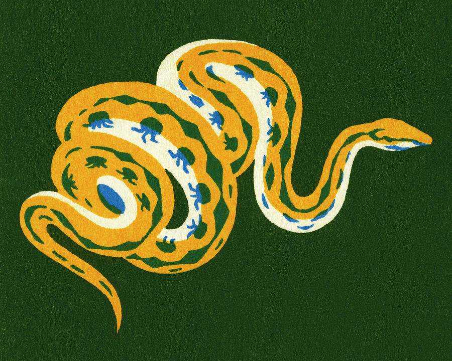 Snake Drawing - Snake #2 by CSA Images