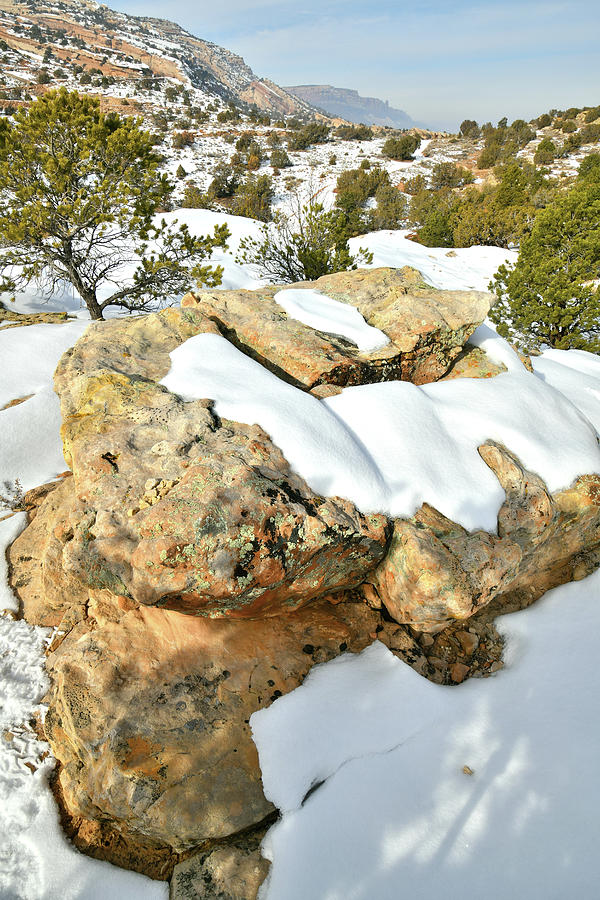 Snow Covered Colorado National Monument #2 Photograph by Ray Mathis