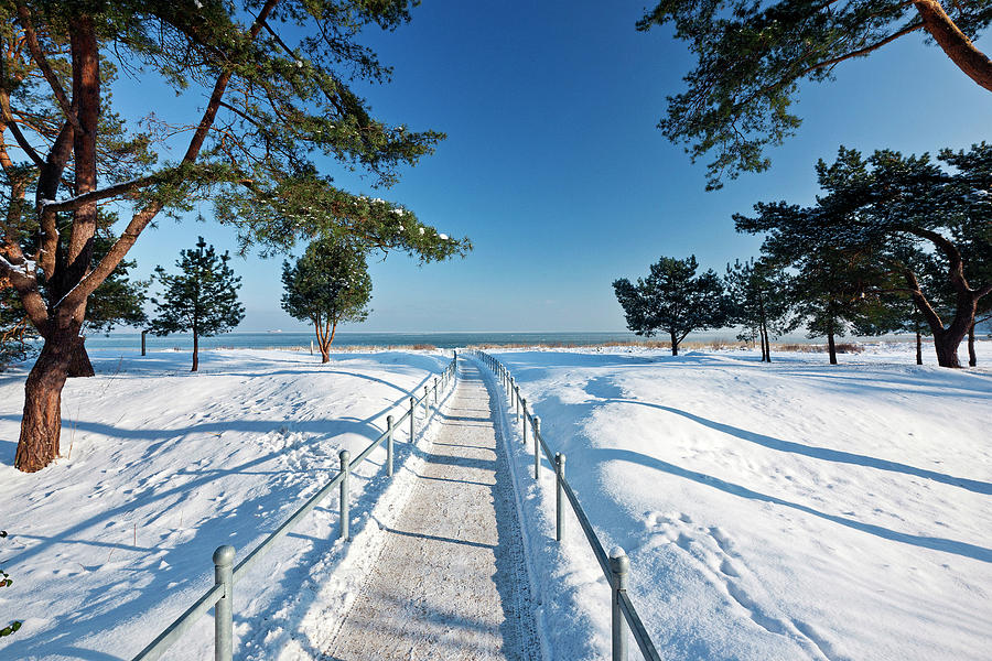 Snow Covered Landscape #2 Digital Art by Reinhard Schmid