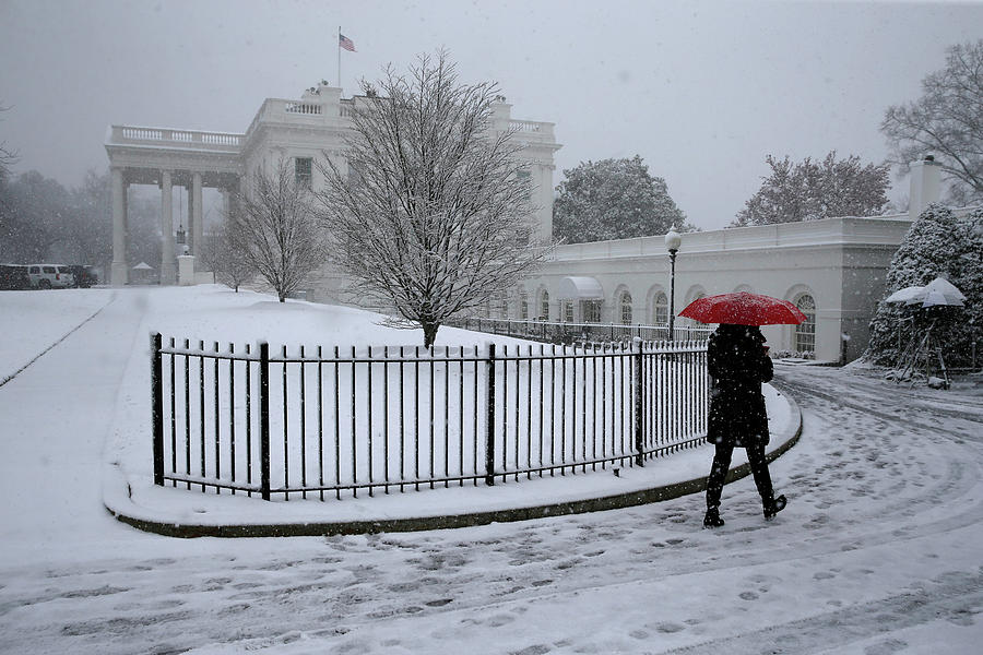 Snow Falls in Washington Photograph by Jonathan Ernst - Fine Art America