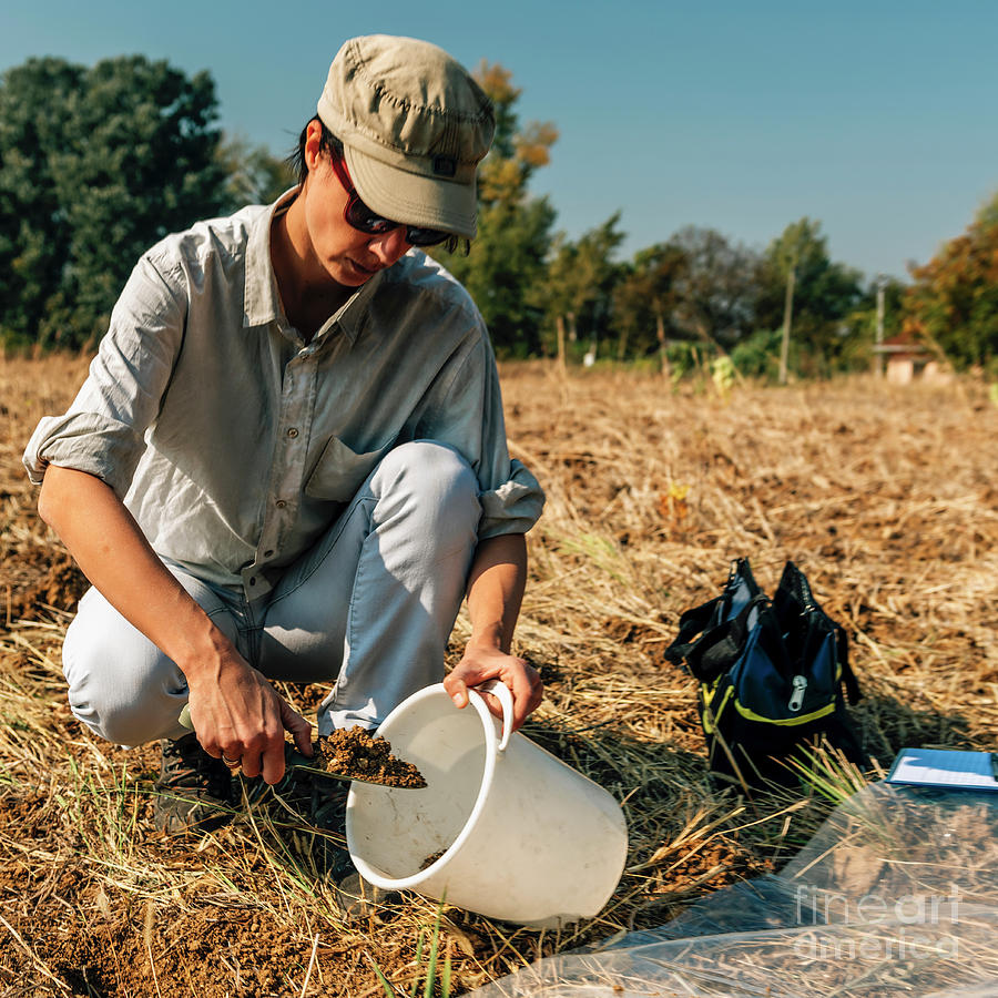 soil-scientist-taking-soil-sample-photograph-by-microgen-images-science