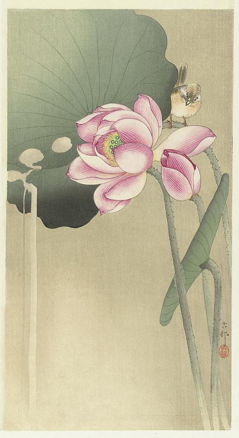 Songbird And Lotus Painting by Ohara Koson Songbird And Lotus Painting by Ohara Koson