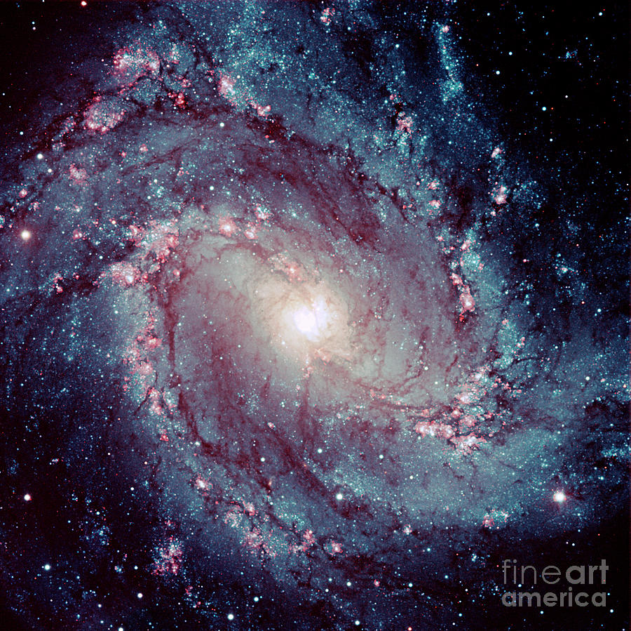 Spiral Galaxy M83 Photograph By European Southern Observatoryscience Photo Library Fine Art 