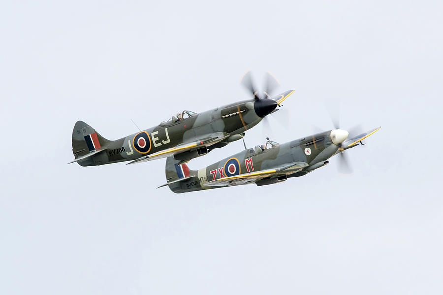 Supermarine Spitfires Photograph - Spitfires #2 by Airpower Art