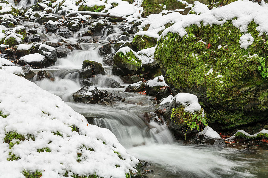 Winter Photograph - Starvation Creek Near Sandy, Columbia #2 by Stuart Westmorland
