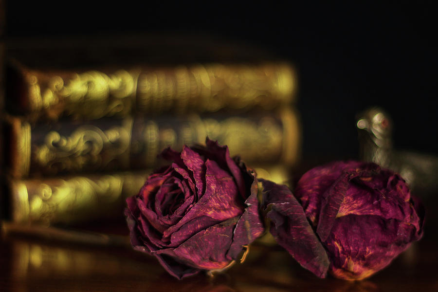 Dried Roses Still Life Royalty-Free Images, Stock Photos & Pictures