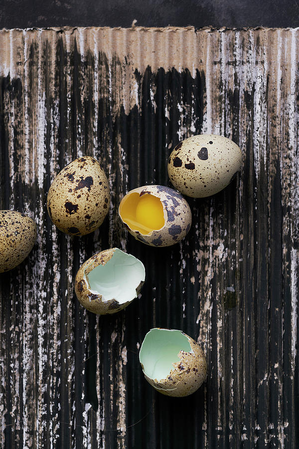 Still Life Of Quail Eggs #2 Photograph by Arjan Smalen Photography